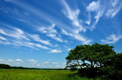 自然を満喫する夏の北海道16日間の旅（１６） 釧路湿原巡り　～その２～