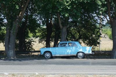 2014年夏トルコ周遊10日間の旅(7日目)+ときどきネコ