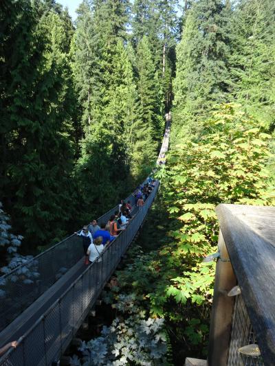 2014年夏バンクーバーからＶＩＡ鉄道と　カナディアンロッキーの旅２日目