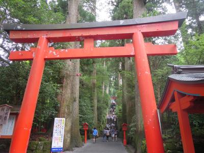 箱根神社で御朱印デビュー