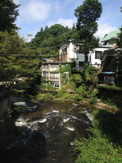 美人の湯　川と山のきれいな東山温泉