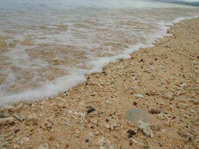 2014　石垣島　家族旅行記　 三日目