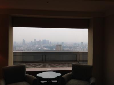 ２０１４年夏　ＡＮＡファーストクラスで行く　おてんこ盛りの旅　旅行記　その⑦　リッツカールトン東京宿泊記（お部屋編）