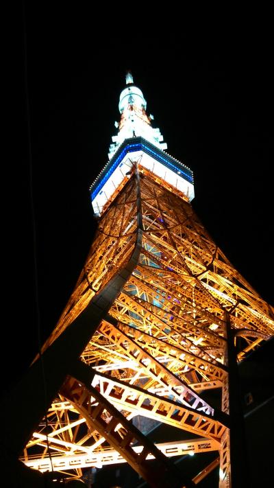 外国人に案内した場所 in 東京