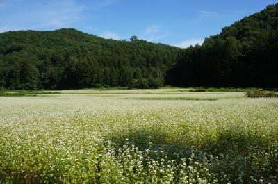 ソバの花咲く南会津、桧枝岐（ひのえまた）歌舞伎を見に行ってきました！そして、ちょこっと、尾瀬散策も♪①（前沢曲屋集落と尾瀬沼散策）