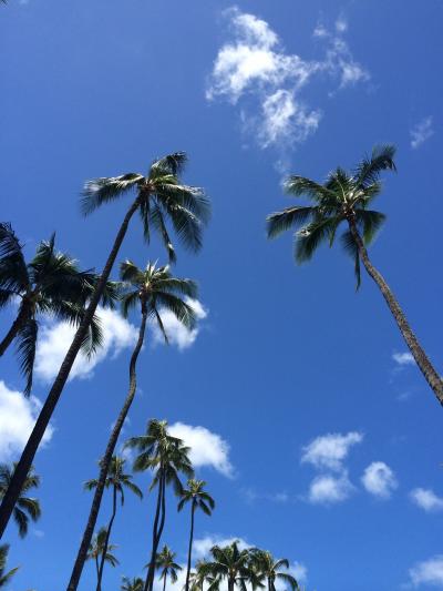 ハワイの風を感じたくて。別荘気分を味わいました。パート2