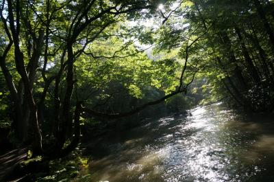 祝・モニター当選☆美しき奥入瀬渓流に建つ星野リゾート癒しの旅 - Part 2 -