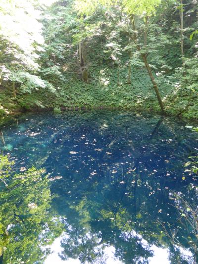 奥入瀬☆十和田湖☆白神山地☆青池