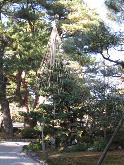 兼六園にて西欧人（ドイツ人）に「さび、わび」の説明