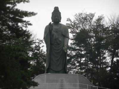 青梅の花と歴史の寺・塩船観音寺を散策しました