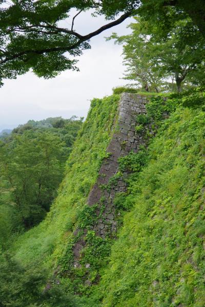 さんふらわあで行く、九州ぐるり～ん舟遊・縦断プラン！⑥　荒城の月の城　岡城跡を歩く