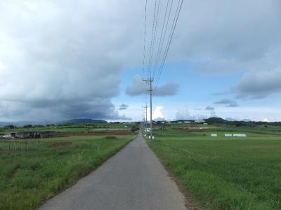 １泊２日弾丸小浜島旅行