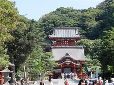 鎌倉祇園山ハイキング