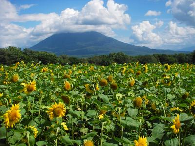 ニセコヒルトンとラビスタ函館ベイ　北海道グルメ旅2014