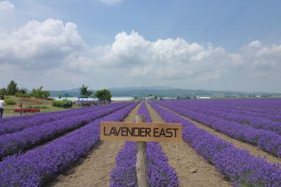 星野リゾート@トマム~富良野へ~