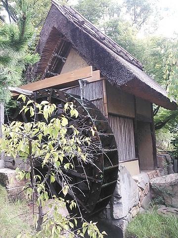 ★高松★　屋島でわら屋と一鶴