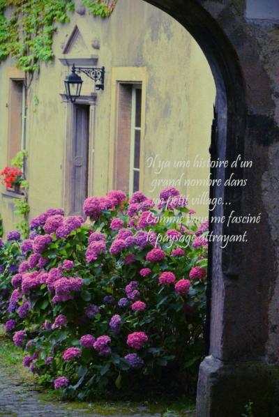 とことん自由に、あくまでも優雅にフランスJuilletの扉　Vol.3絵本の挿絵のように佇むアルザスワイン街道の村"リボ-ヴィレ”＆”リクヴィル"