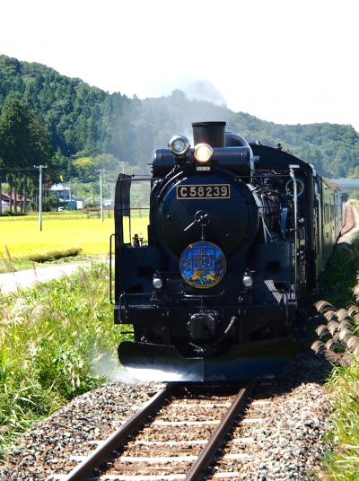 鉄子じゃないけど・・・列車にのって初秋を楽しむ２日間旅　★乗ってる人も見ている人も、幸せな気分になっちゃうね！ＳＬ銀河編★　