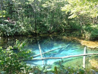 道東絶景紀行　知床峠～神の子池～摩周湖