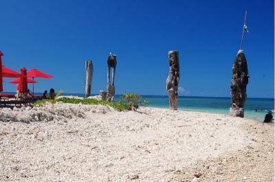 美しいビーチを堪能