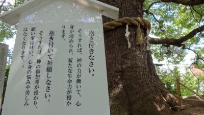 平家物語抄＠おさらい編1日目