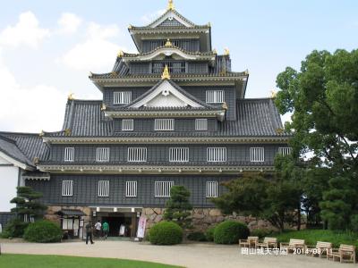 古城/姫路城/大阪城/桃山城/彦根城/淀城/松坂城/上野城/安土城
