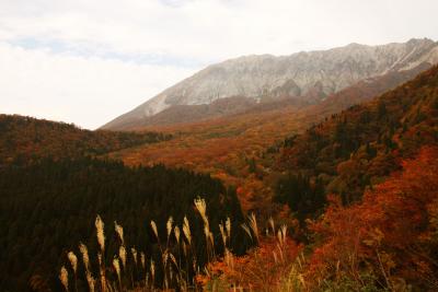 紅葉の伯耆大山を登ってドライブしてまるごと満喫♪