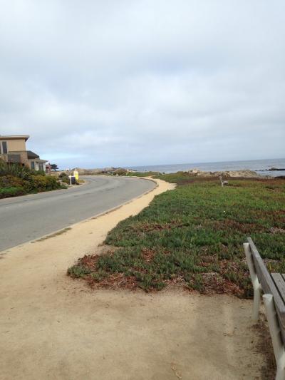 Monterey bay coastal trail でジョギング