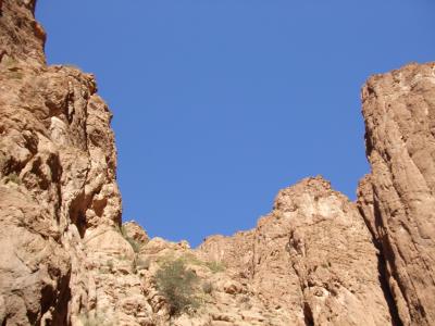 2011/2 モロッコ周遊バスツアー7泊10日 3/6 <トドラ峡谷>