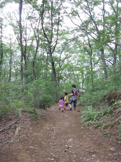 神奈川から日帰り山梨