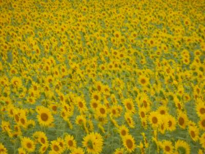 安曇野☆上高地の夏．．．２０１４年