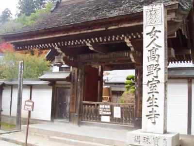 忍者修業の里・赤目四十八滝から女人高野室生寺の紅葉へ