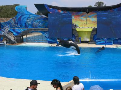 親子＆孫三代で楽しんだサンディエゴ・シーワールドと動物園