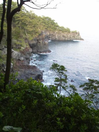 伊東の旅館と伊豆高原ぶらり旅を満喫！