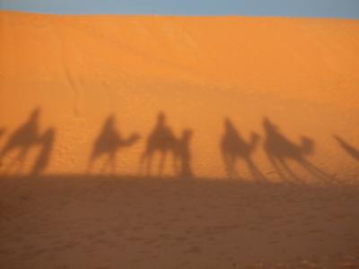 2011/2 モロッコ周遊バスツアー7泊10日 4/6 <サハラ>