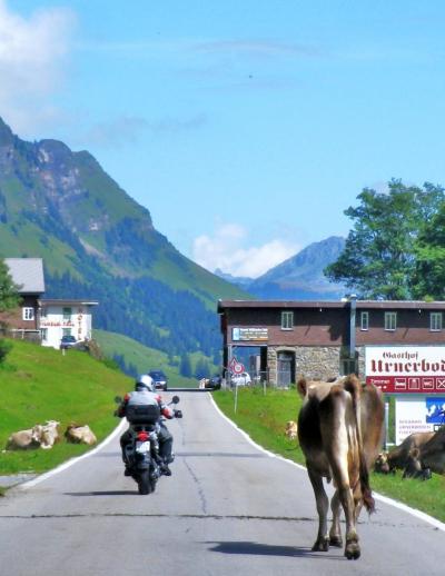 スイス・アルプスの峠めぐり2014　そこのけそこのけお牛が通る～クラウゼン峠