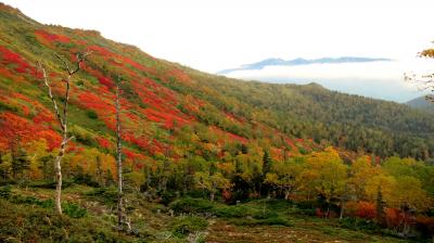 10年に１度のすばらしい紅葉　　大雪山