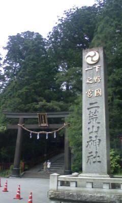 名物の巨木たち～日光山二荒山神社～