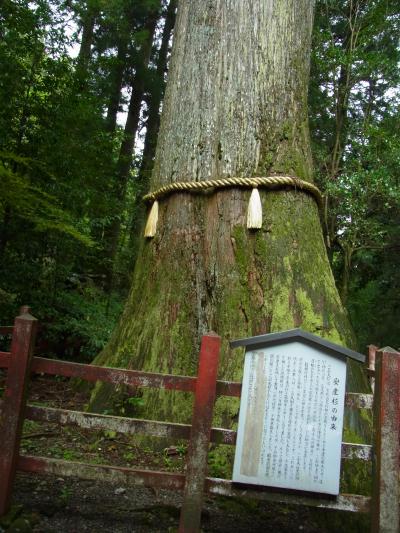 箱根日帰り散策