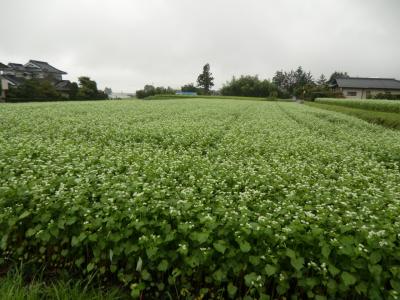 山旅紀行‥中央アルプス縦走・その1.中央アルプスの玄関口～駒ヶ根高原の「民宿.天山」に前泊。