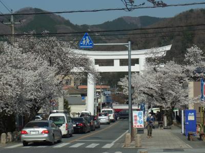 桜の花見めぐり