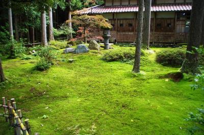 [14]小松市・日用町の「苔庭」