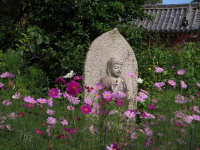 １人で歩く秋の奈良☆豆比古神社・般若寺☆秘仏の白鳳阿弥陀如来さまとコスモスに魅了される(*^_^*)