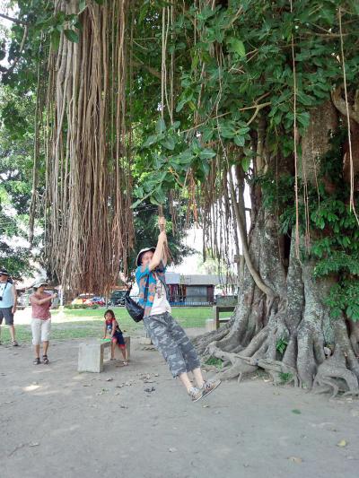 ③【ボロブドゥール～ムンドゥッ寺院を結ぶ直線上の遺跡巡り】