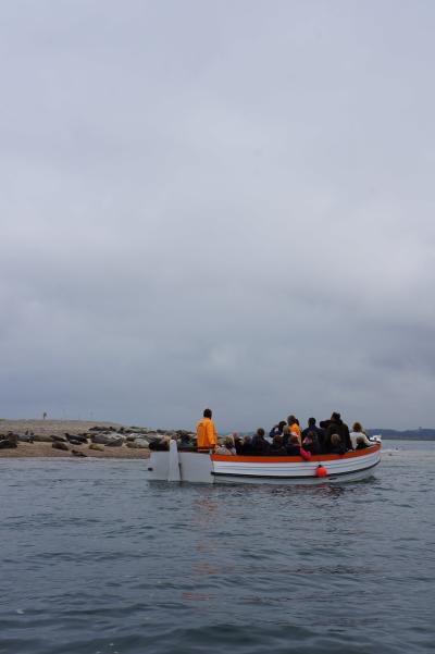 イングランド　～ Morston, Burnham Overy イングランドで見る野生のアザラシ