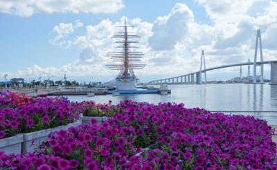 海王丸公園をあるく。広々とした雄大な景色。橋と海王丸がよくマッチしている。