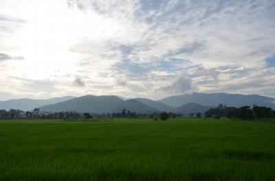 白と黒の建築物と山の景色を楽しむ