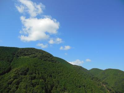 ヒリゾの海と、マイナスイオンに抱かれて・・・2日目