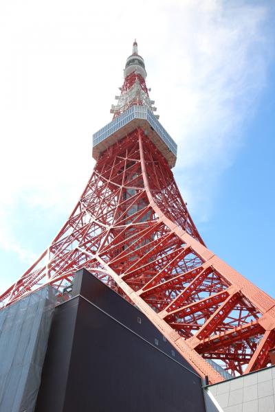 やっとのぼれた！東京タワー！