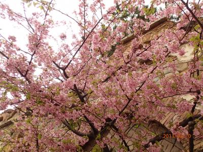 ディズニー２０１３年３月